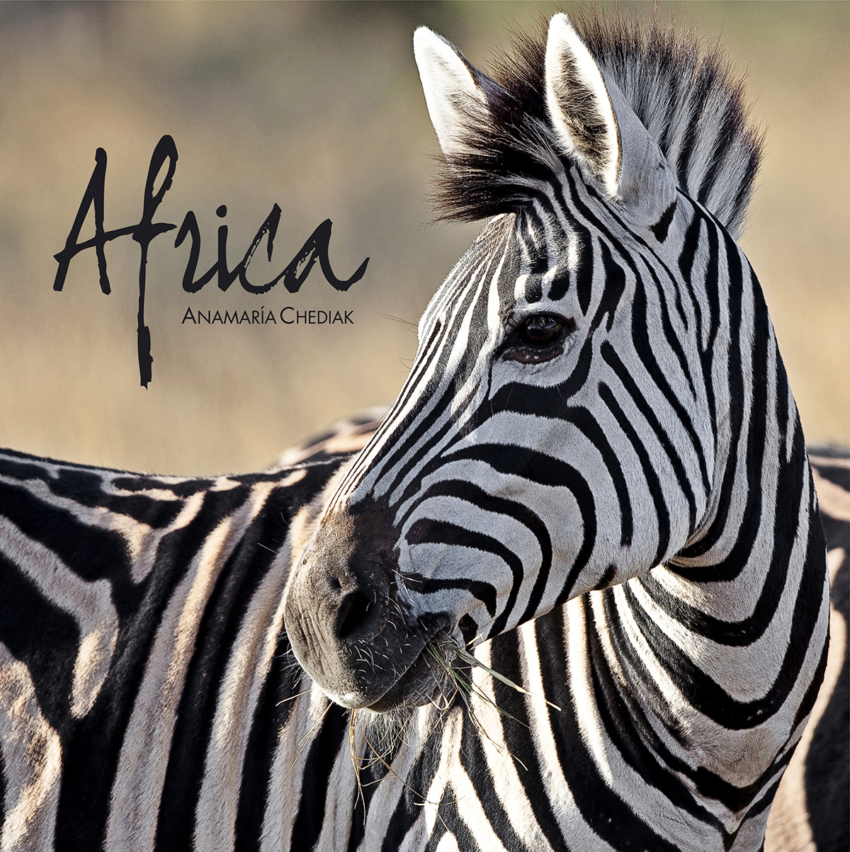 ©Portada-Africa